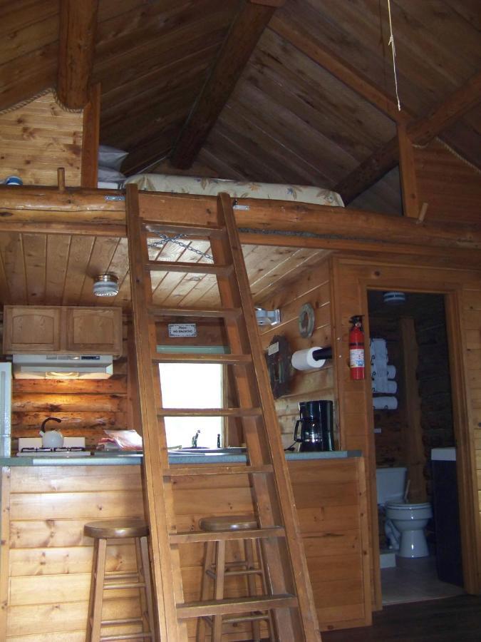 Box Canyon Cabins Seward Exteriör bild
