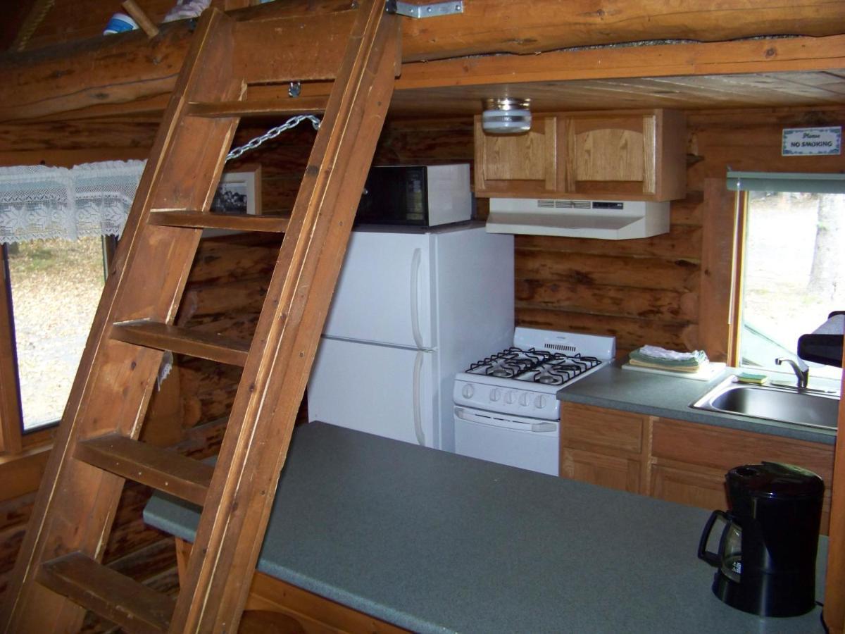 Box Canyon Cabins Seward Exteriör bild